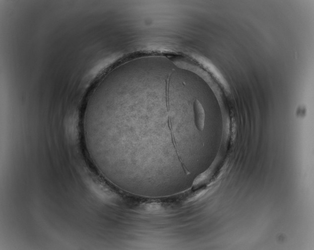 X0000101650588200807101233