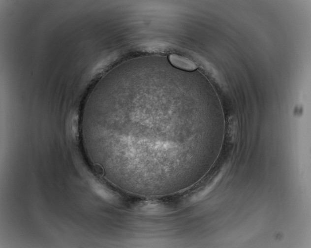 X0000101650589200807101233