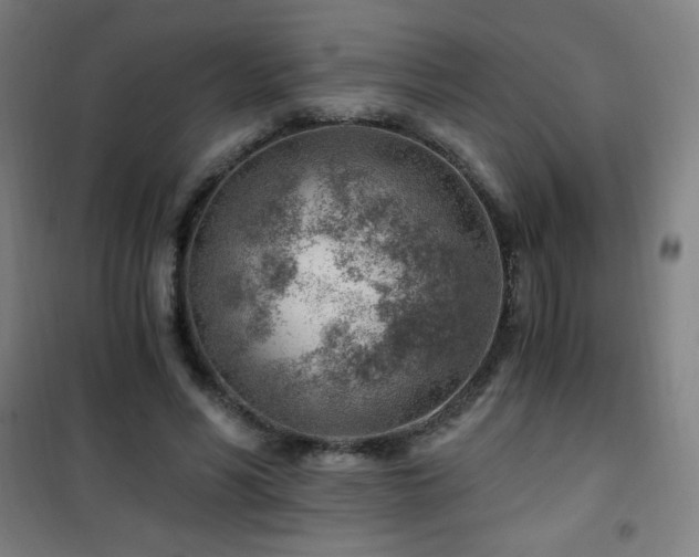 X0000101650590200807101233