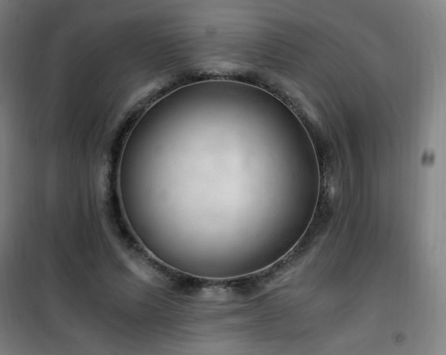 X0000101650591200807101233