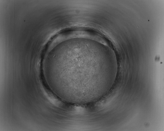 X0000101650592200807101233