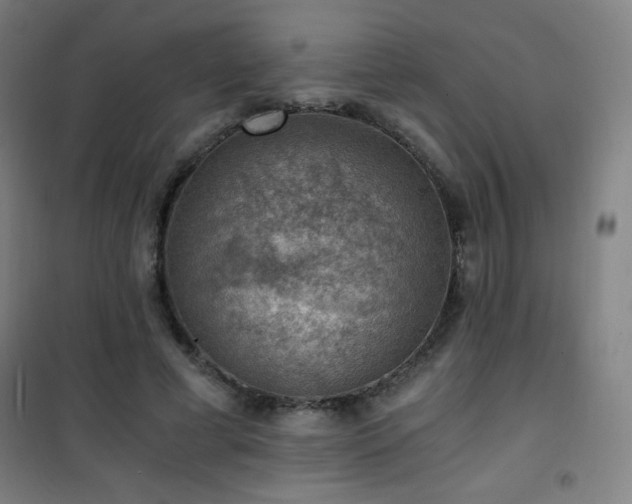 X0000101650593200807101233