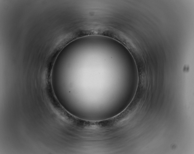 X0000101650594200807101233