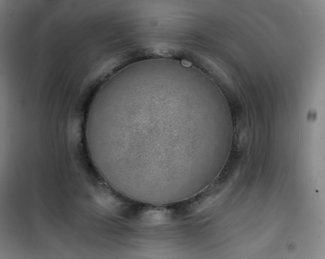 X0000101650595200807101233