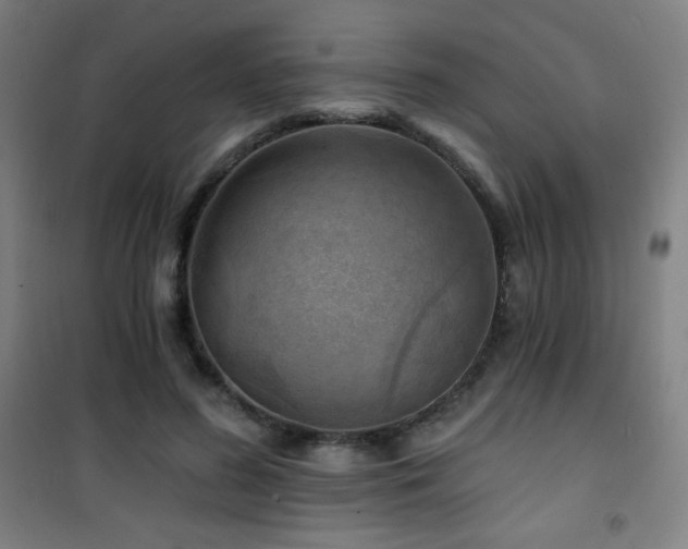 X0000101650596200807101233