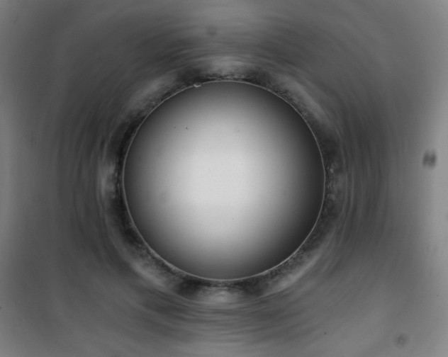 X0000101650597200807101233