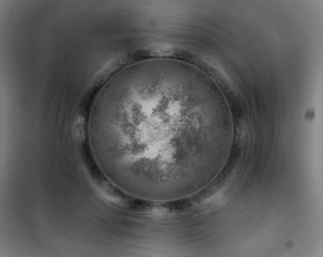 X0000101650598200807101233