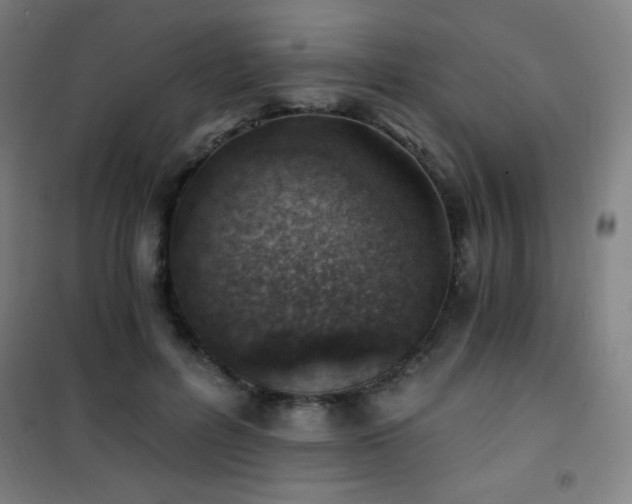 X0000101650600200807101233