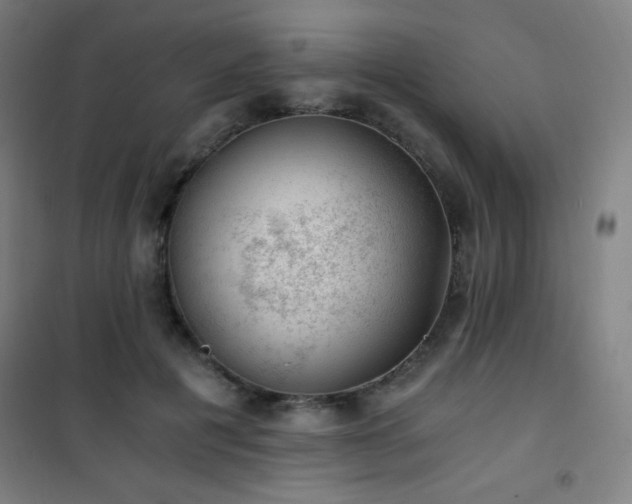 X0000101650601200807101233