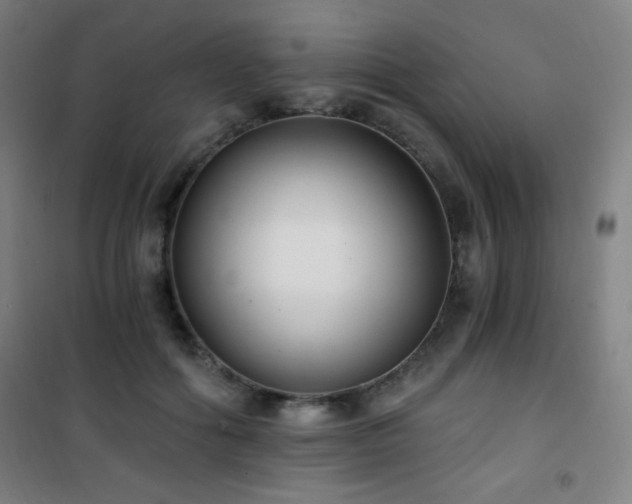 X0000101650602200807101233