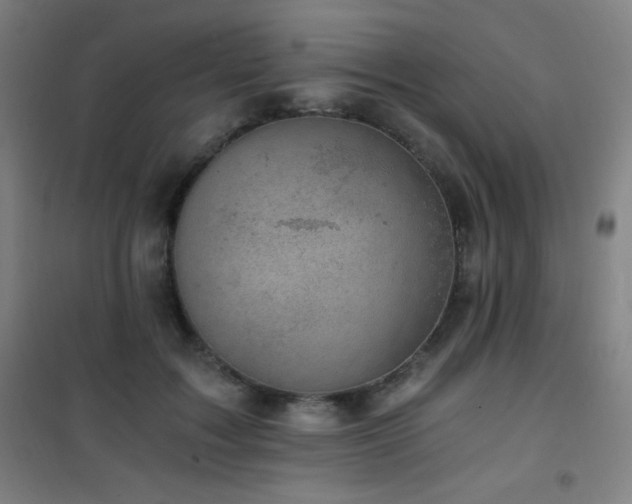 X0000101650603200807101233