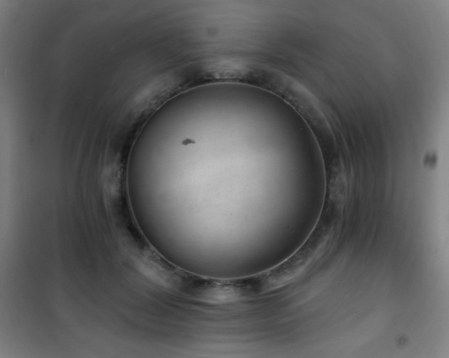 X0000101650604200807101233