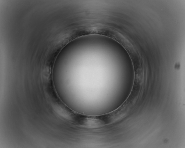 X0000101650605200807101233