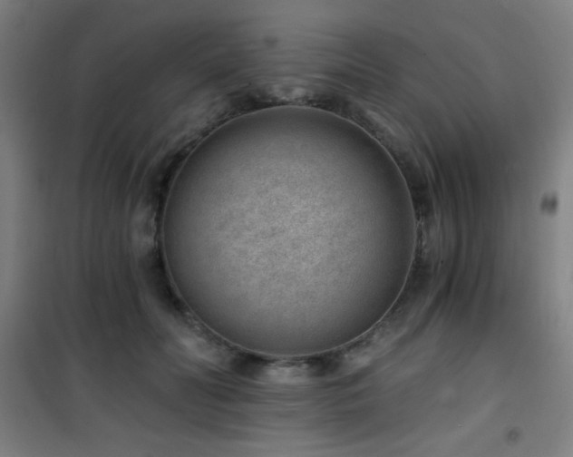 X0000101650606200807101233