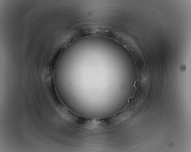 X0000101650607200807101233