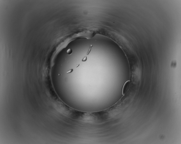 X0000101650608200807101233