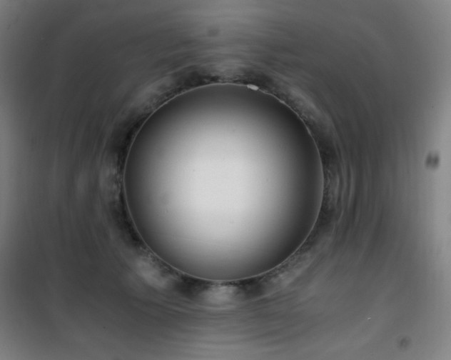 X0000101650609200807101233