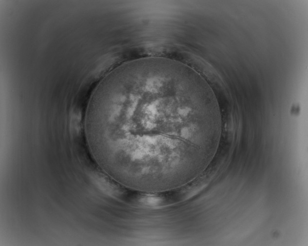 X0000101650610200807101233