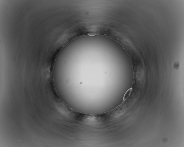 X0000101650611200807101233