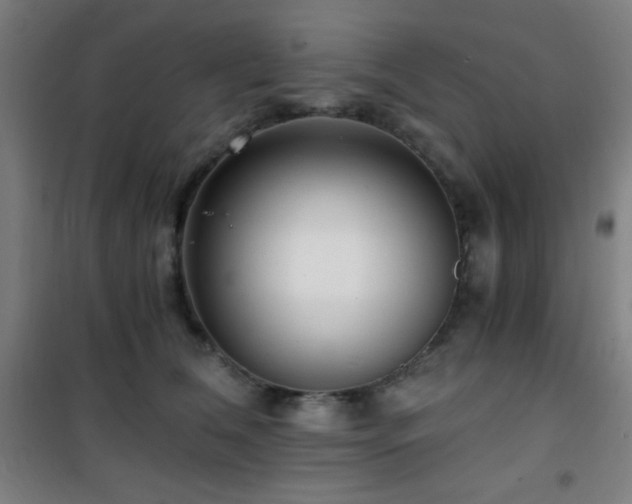 X0000101650612200807101233