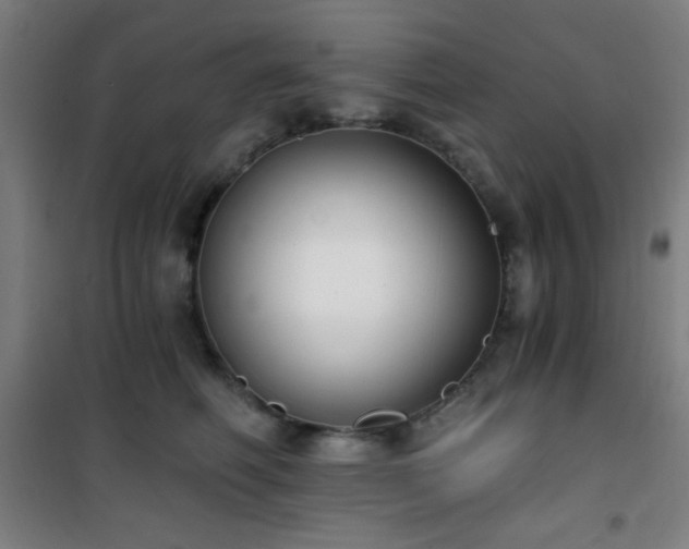 X0000101650614200807101233