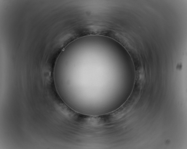 X0000101650615200807101233