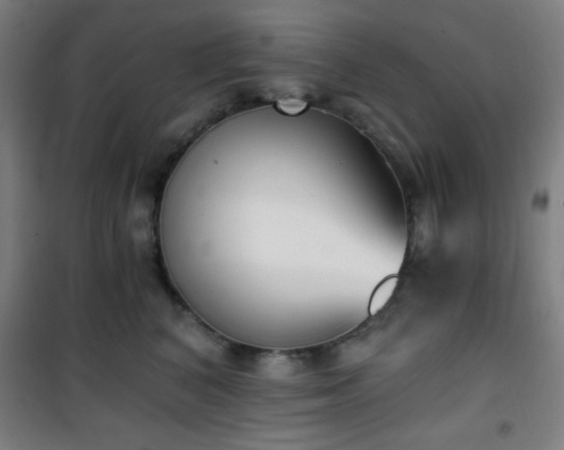 X0000101650616200807101233