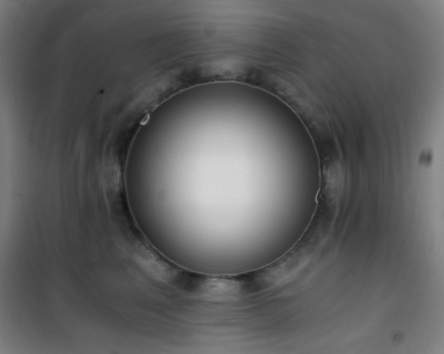 X0000101650617200807101233