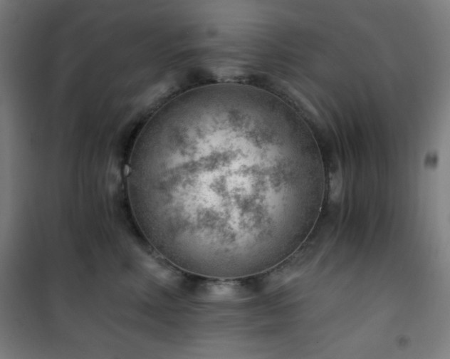 X0000101650618200807101233