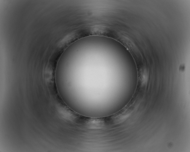 X0000101650619200807101233