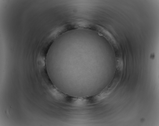 X0000101650621200807101233