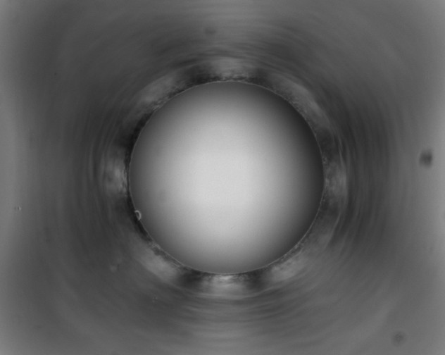 X0000101650622200807101233