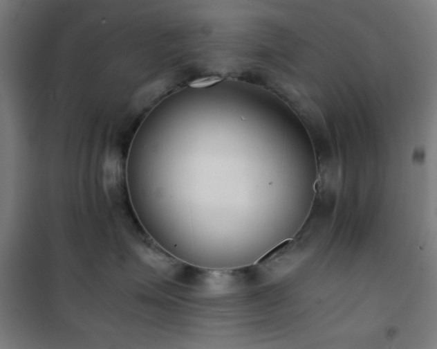 X0000101650623200807101233