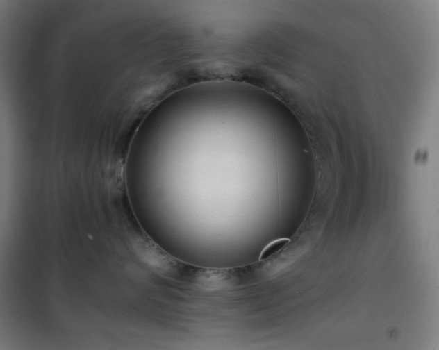 X0000101650624200807101233