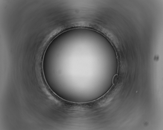 X0000101650625200807101232