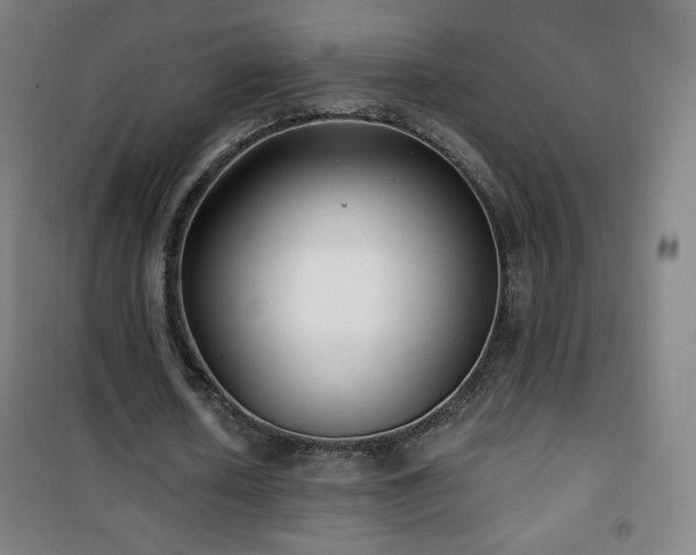 X0000101650626200807101232