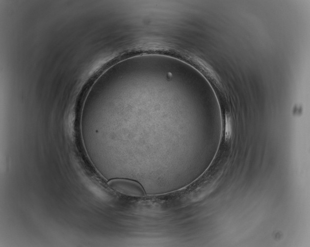 X0000101650627200807101232