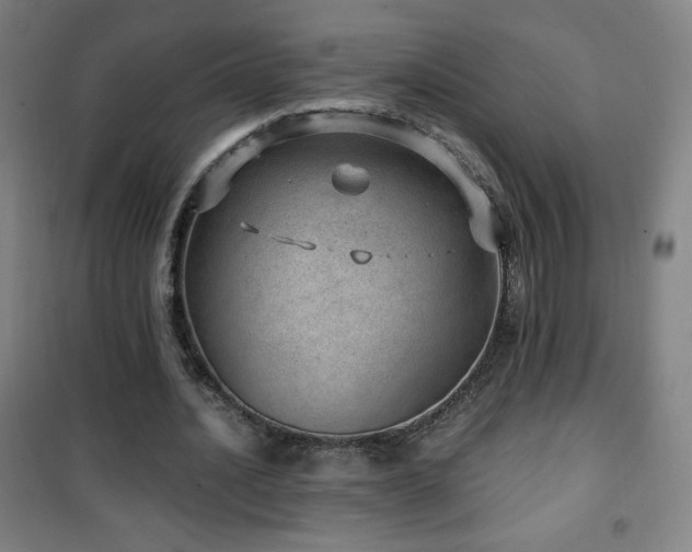 X0000101650628200807101232