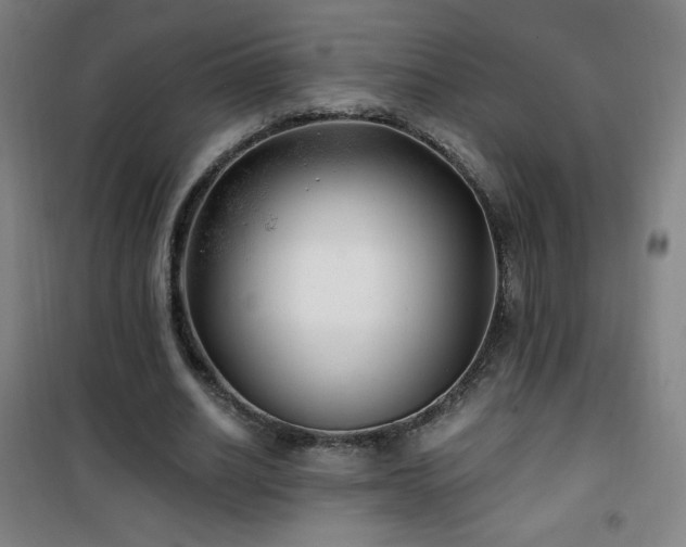 X0000101650630200807101232