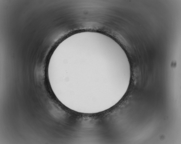 X0000101650632200807101232