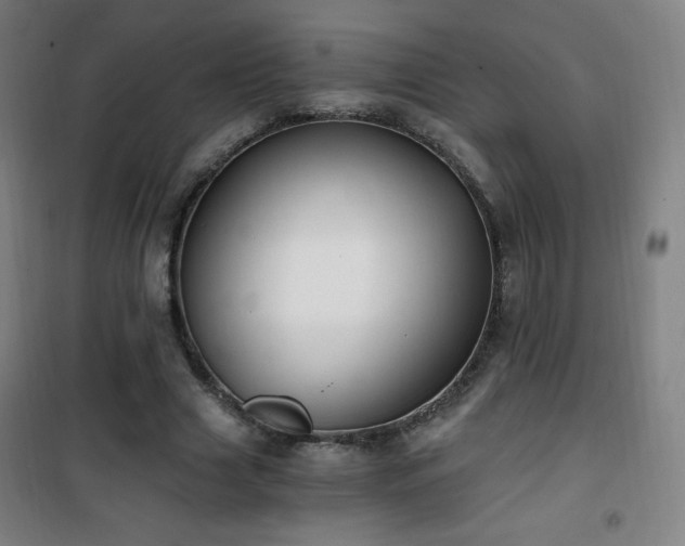 X0000101650633200807101232