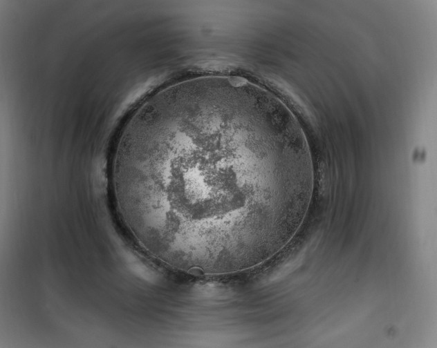 X0000101650634200807101232