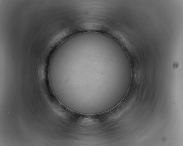 X0000101650635200807101232