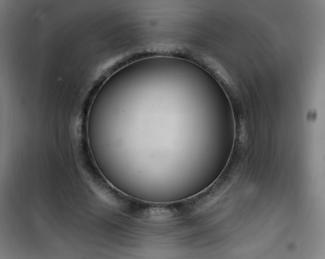 X0000101650636200807101232