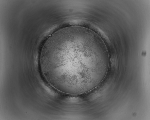 X0000101650637200807101232