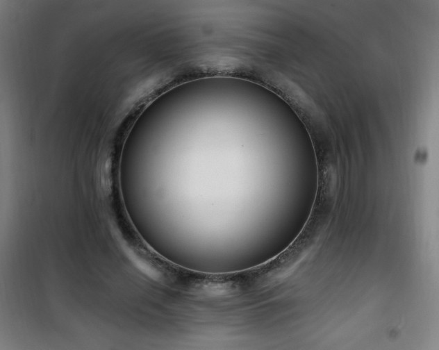 X0000101650638200807101232