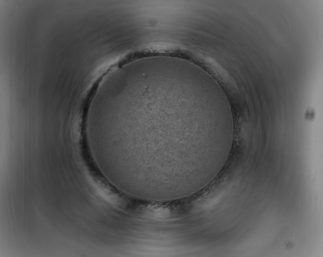 X0000101650640200807101232