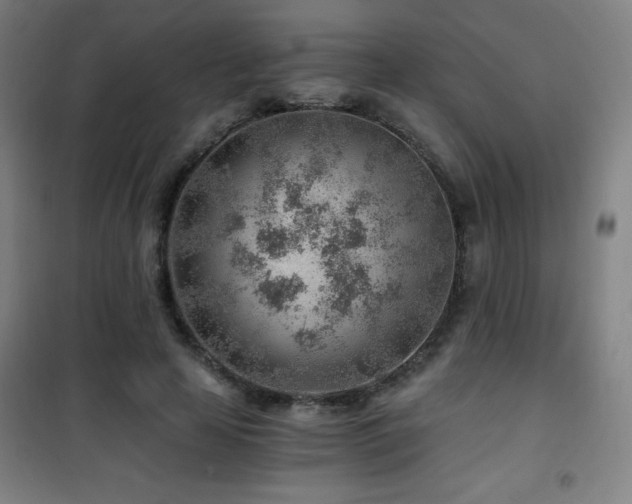 X0000101650641200807101232