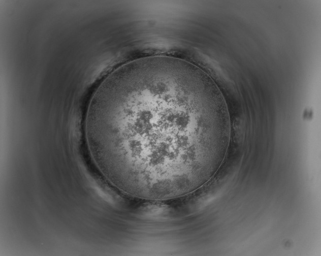 X0000101650642200807101232