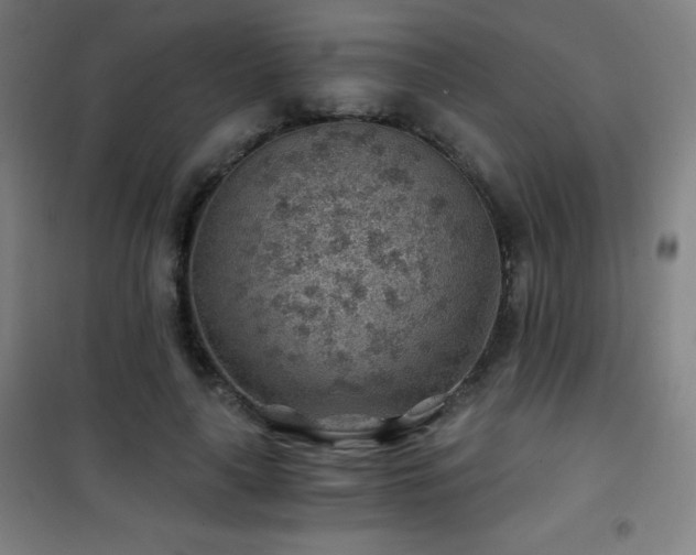 X0000101650643200807101232